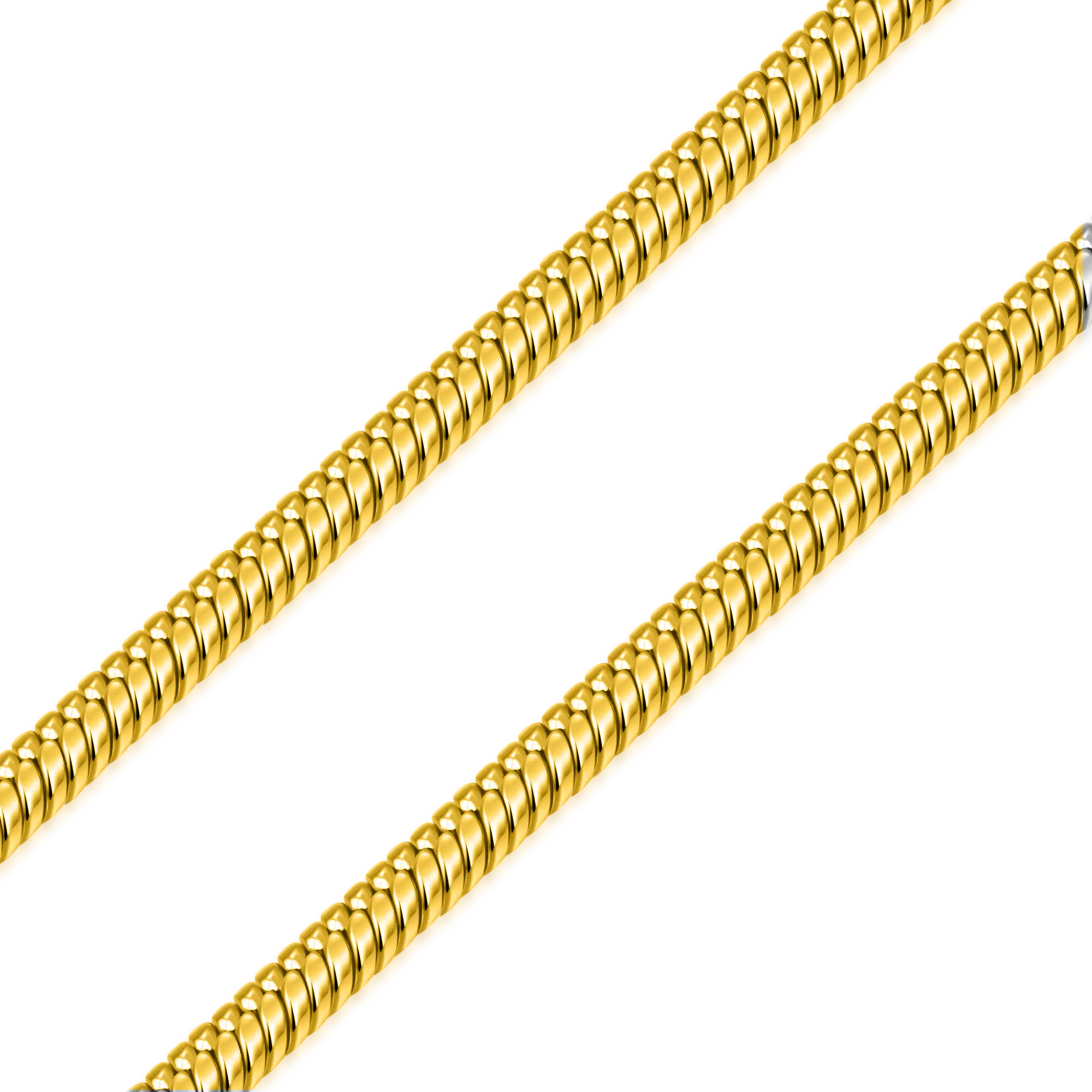 Women's Snake Chain