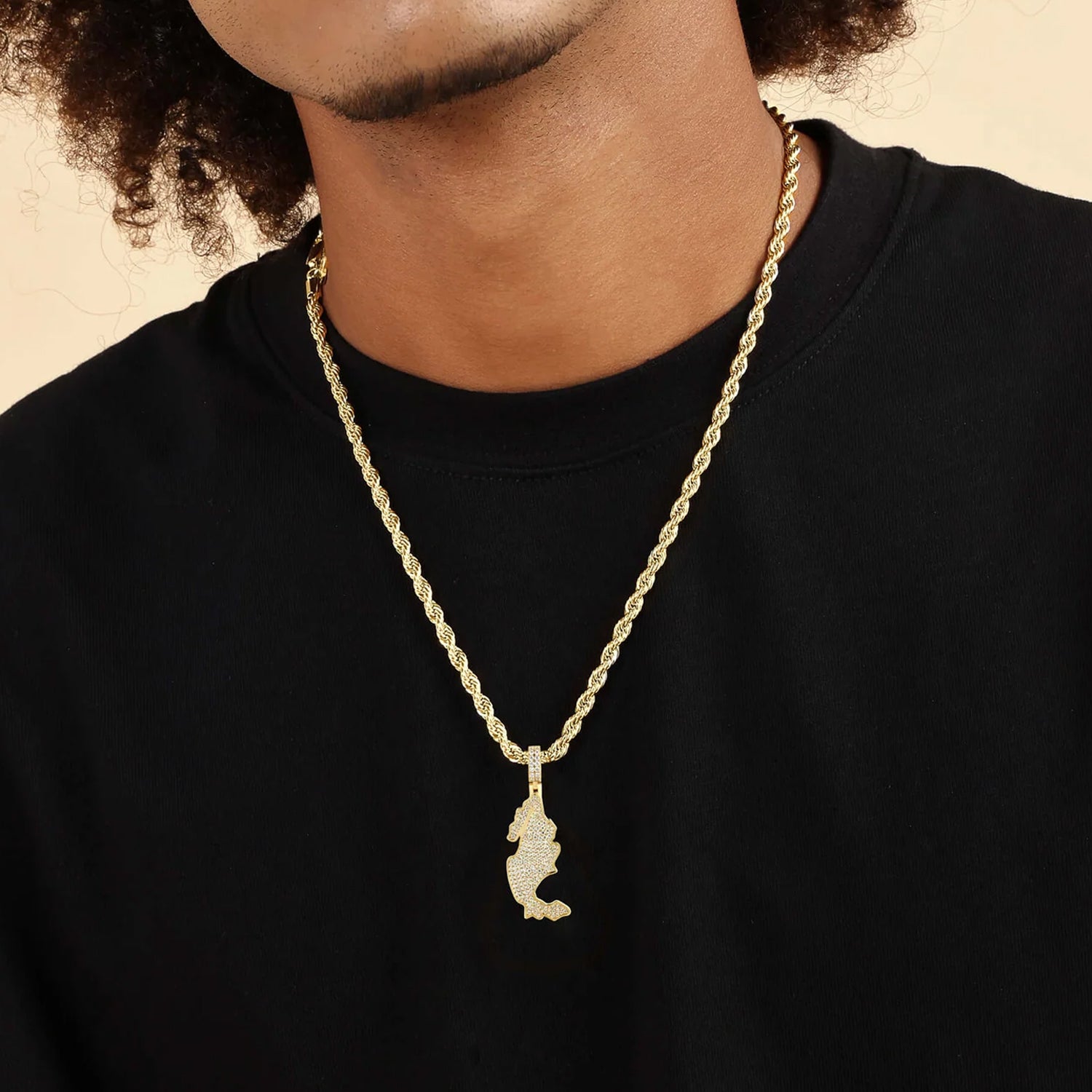 Moissanite Round Cut Map of Mexico Pendant