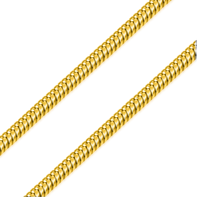 Snake Chain
