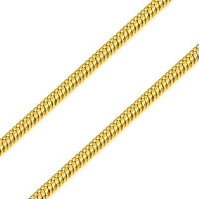 Snake Chain