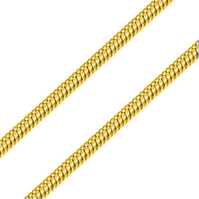 Snake Chain