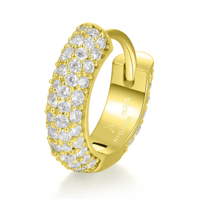 Moissanite S925 Round Paved Hoop Earrings