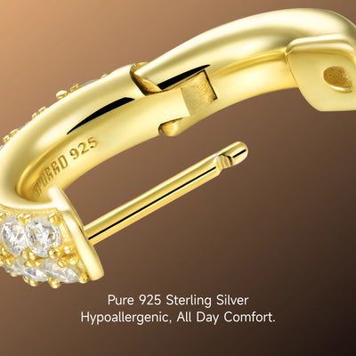 S925 Double Row Hoop Earring