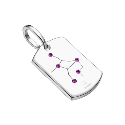 Zodiac Dog Tag Pendant