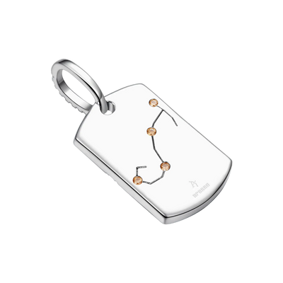 Zodiac Dog Tag Pendant