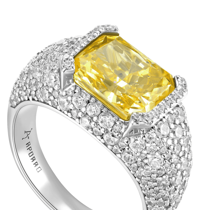 Crushed Ice Emerald Cut Ring - APORRO